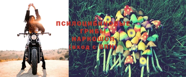 стафф Алексин