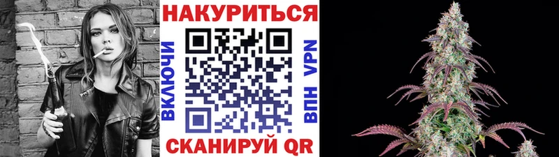 Конопля гибрид  где можно купить   ОМГ ОМГ tor  Минусинск 